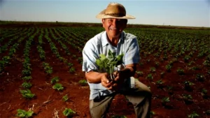 O Dia do Agricultor é comemorado anualmente em 28 de julho