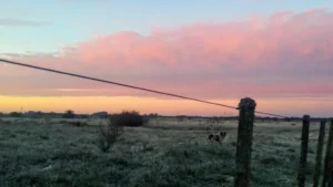 RS amanhece com temperaturas de -4,2°C