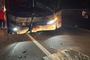 Ônibus do Brasil de Pelotas se envolve em acidente em São Paulo