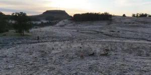 Com -9,1ºC, RS tem menor temperatura do ano