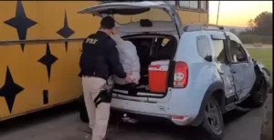 Motorista embriagado que transportava três espingardas e munições é preso após acidente na Freeway