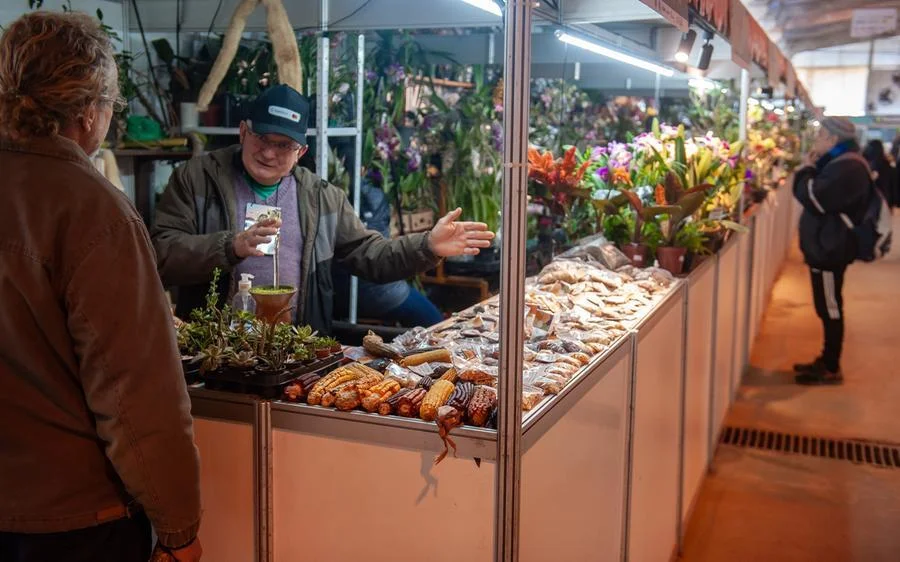 Visitações de escolas movimentam a manhã de segunda-feira na Expointer 2 26082024 ambiental manha 3117