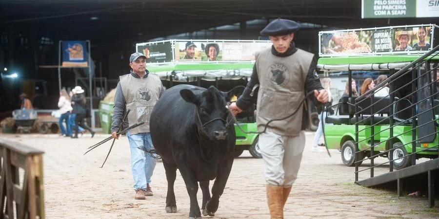 Dia marcado pelas premiações das grandes estrelas da Expointer amanhece com cerração e garoa 1 28082024 ambiental manha 4134