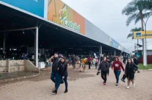 Dia marcado pelas premiações das grandes estrelas da Expointer amanhece com cerração e garoa