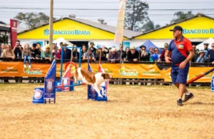 Cães adestrados realizam demonstrações para o público na Expointer
