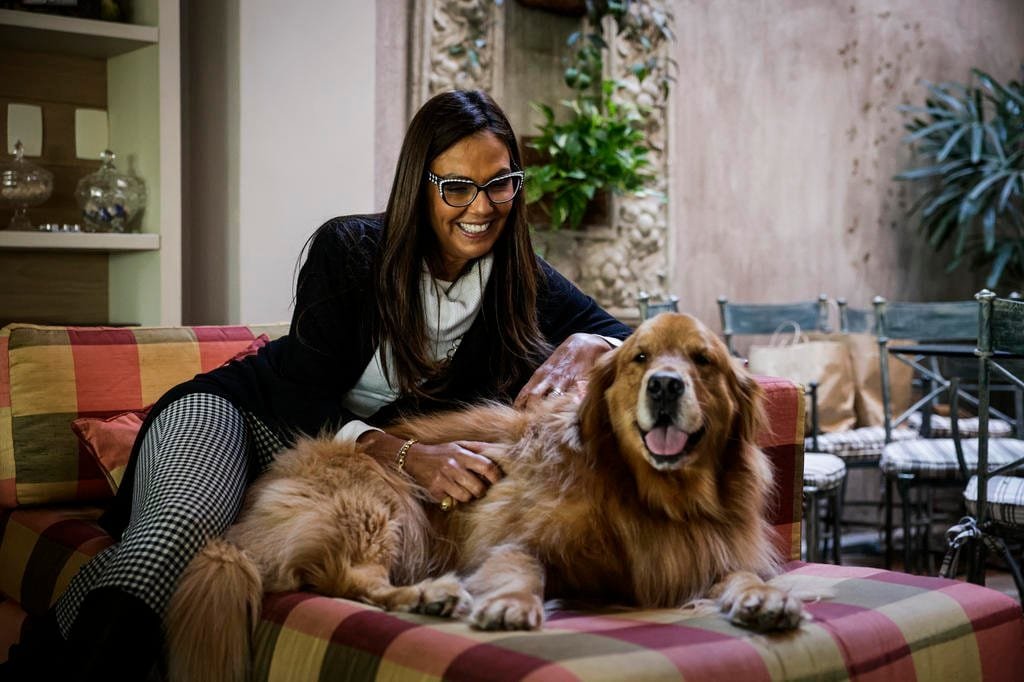 Na estreia de "Celebripets", Cristina Ranzolin conta como é a relação da família com a golden Kiara 2 5017759 7b292727c80b403