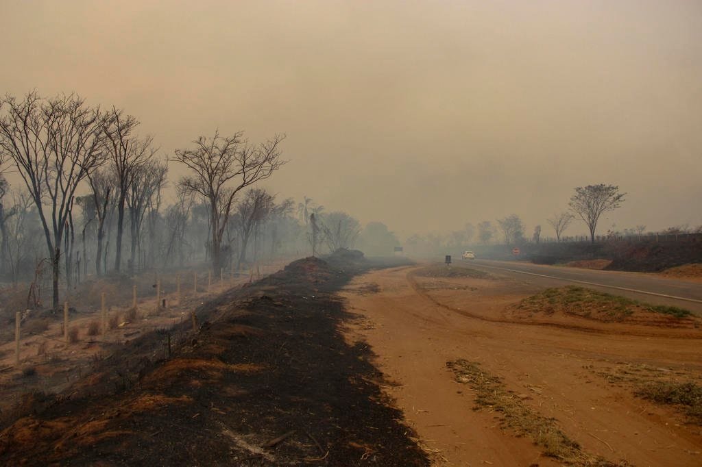 Os incêndios florestais têm castigado o interior paulista há dias 5 5022743 cfa36bde6b1c135