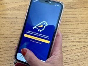 Aplicativo Pardal 2024 vai receber denúncias de propaganda eleitoral irregular na internet