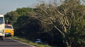 Veículo sai da pista e é abandonado pelo motorista na Estrada do Mar, em Osório