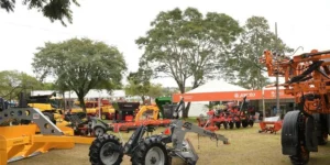 Fenarroz 2024 começa nesta quarta, 6, e vai até domingo,11, em Cachoeira do Sul