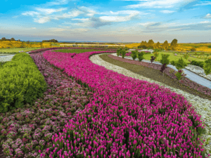 Parque Mátria São Francisco de Paula – RS