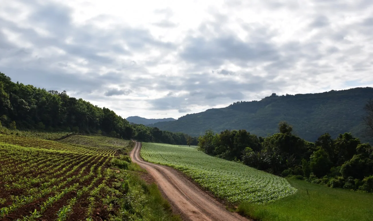 Roteiros e Paisagens – Pinhal Alto