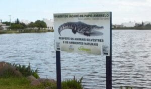 Projeto propõe alterar nome de lago em Imbé devido a presença de jacarés