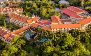 Wish Serrano promove “Feijoada das Estrelas” no Festival de Cinema