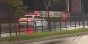 Homem é preso por importunação sexual após fuga a cavalo na zona Sul de Porto Alegre