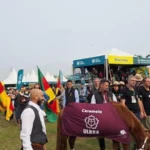 Símbolo de resiliência na enchente, cavalo Caramelo participará do desfile dos grandes campeões da Expointer