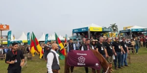 Símbolo de resiliência na enchente, cavalo Caramelo participará do desfile dos grandes campeões da Expointer