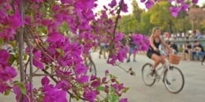 Setembro deve ser marcado por calor acima da média e menos chuva do que no ano passado