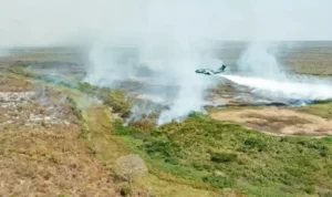 Rio Grande do Sul envia bombeiros para ajudar a combater incêndios florestais no Mato Grosso do Sul
