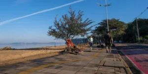 Onda de calor ganha força e terá máximas acima dos 40ºC em vários estados do Brasil