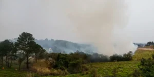 Sobe para dez número de presos por queimadas em São Paulo