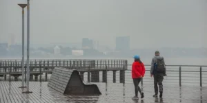 Umidificador ou purificador: o que saber na hora de comprar um? Veja dicas de especialistas