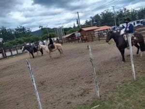 Atividades da Semana Farroupilha em Osório tem início na Próxima Semana