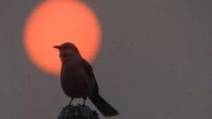 CALOR RETORNA COM FORÇA NA REGIÃO NESTA TERÇA E QUARTA