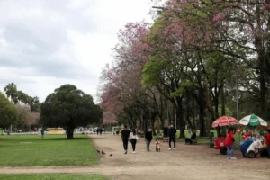 Semana será marcada por nebulosidade e aumento da temperatura no Rio Grande do Sul