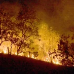 Bombeiros combatem mais de 330 incêndios no estado do Rio de Janeiro