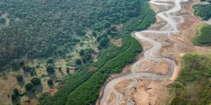 Prefeitura de Manaus decreta situação de emergência por causa da seca