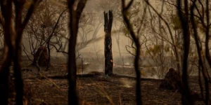 Brasil concentra 76% dos incêndios na América do Sul
