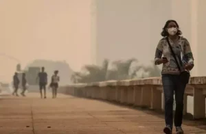 Devo usar máscara contra fumaça de queimadas? Veja recomendações