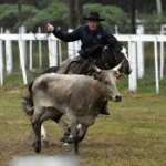 1ª Festa Campeira de Tramandaí inicia nesta Sexta-feira