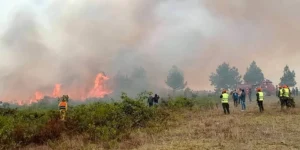 Peru decreta emergência em três regiões afetadas por incêndios florestais