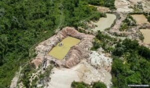 Terra Indígena Kayapó tem mais de 17% de área tomada pelo fogo