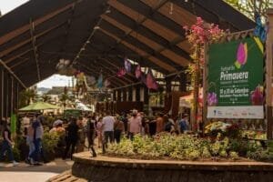 Festival da Primavera inicia nesta sexta (5) em Nova Petrópolis