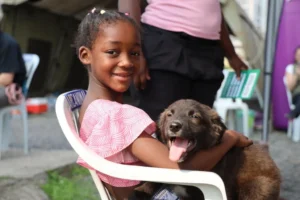 Mais de 30 animais resgatados das enchentes ganham lares em evento no MP-RS