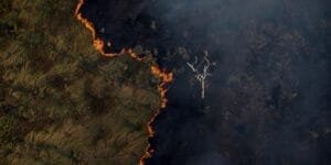 Fumaça de queimadas que se espalha pelo Brasil pode atingir outros países; entenda