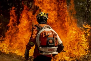 Governo propõe até 18 anos de prisão para quem causar incêndio florestal