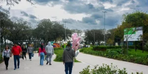 Frente fria ameniza fumaça e parques lotam no Domingo