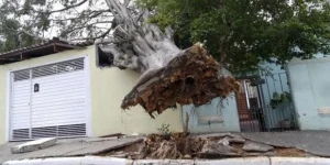 Por que a tempestade em SP foi tão forte e repentina? Especialista explica o fenômeno