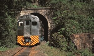 Serra Verde Express abre a pré-temporada de verão com trem também às quintas-feiras