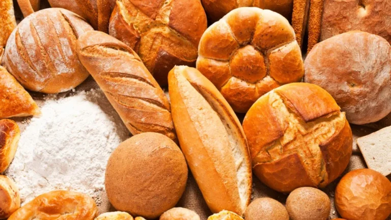 Hoje é o Dia Mundial do Pão: Conheça origem de um dos alimentos mais antigos do mundo