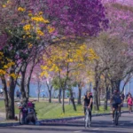 Chuva e sol se alternam no Rio Grande do Sul nos próximos dias; veja a previsão