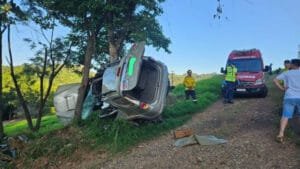 Veículo “abraça” árvore e motorista morre em acidente no oeste catarinense