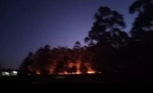 Bombeiros controlam incêndio em área de mata no bairro Bosques do Albatroz, em Osório