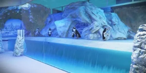 Aquário de Gramado terá mais de 400 espécies de animais