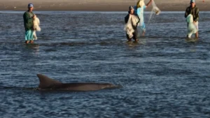 Transpetro fará lançamento da segunda fase do Projeto Botos da Barra