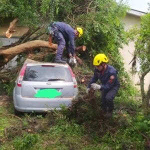 Árvore cai sobre veículo e residência em Osório durante temporal